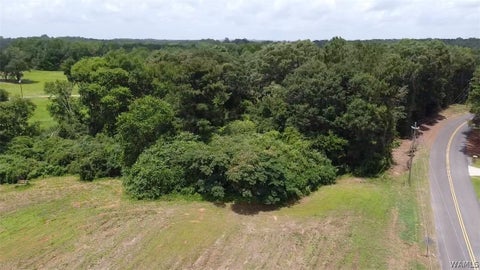 Vacant Land For Sale - 16190 Romulus Church Road<br/> Ralph, AL 35480