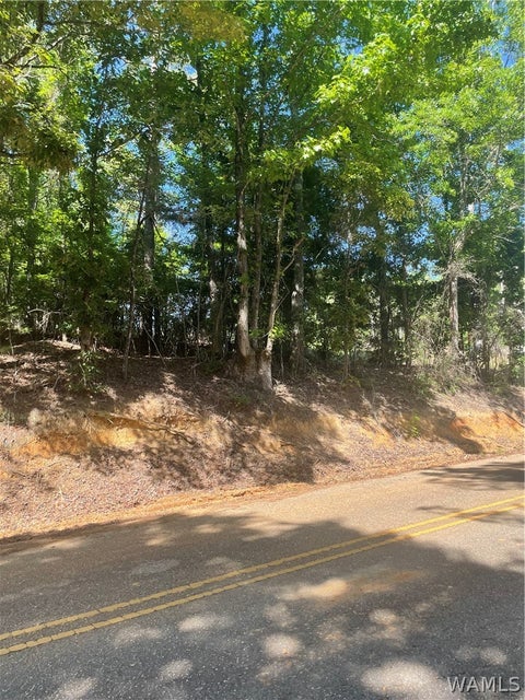 Vacant Land For Sale - 00 Little Sandy Road<br/> Tuscaloosa, AL 35405
