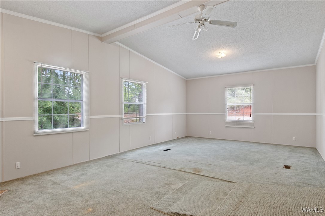 10463 Beulah Lake Lane, Cottondale, Alabama image 30