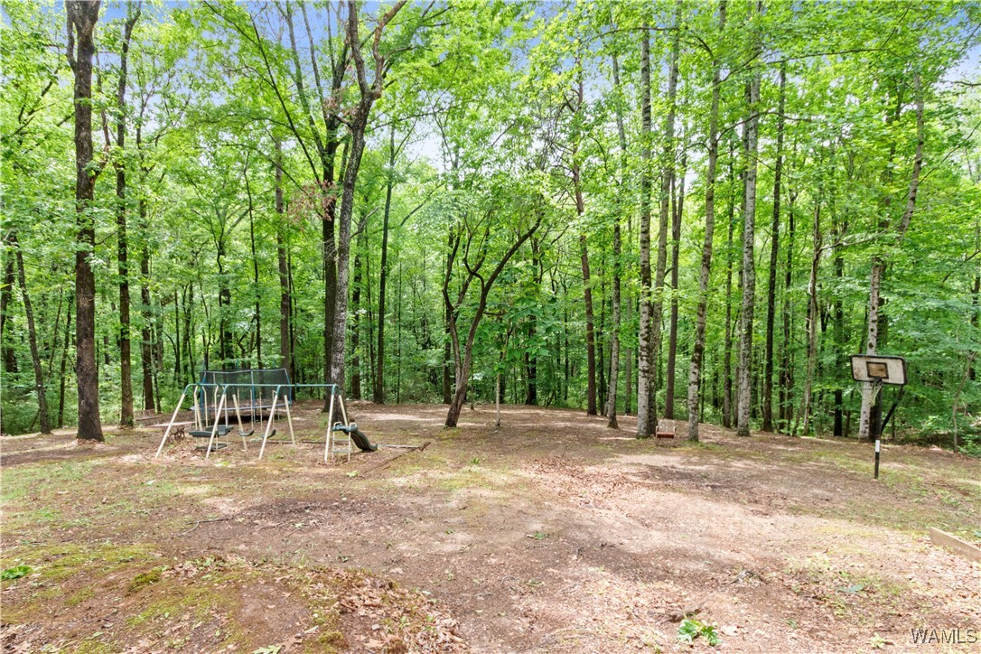 10463 Beulah Lake Lane, Cottondale, Alabama image 39