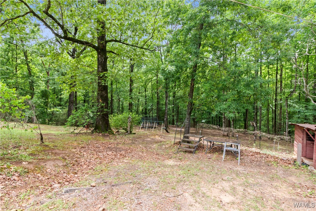 10463 Beulah Lake Lane, Cottondale, Alabama image 36