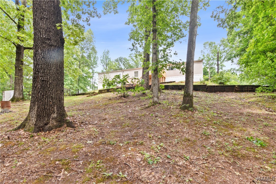 10463 Beulah Lake Lane, Cottondale, Alabama image 41
