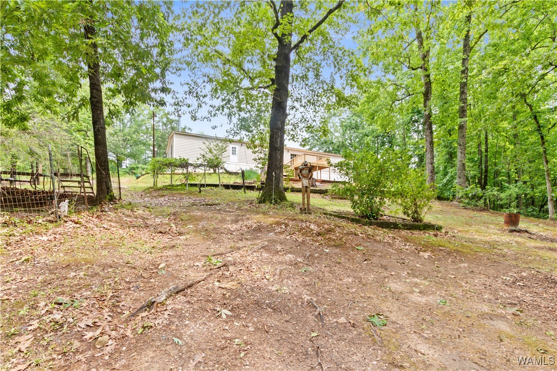 10463 Beulah Lake Lane, Cottondale, Alabama image 40