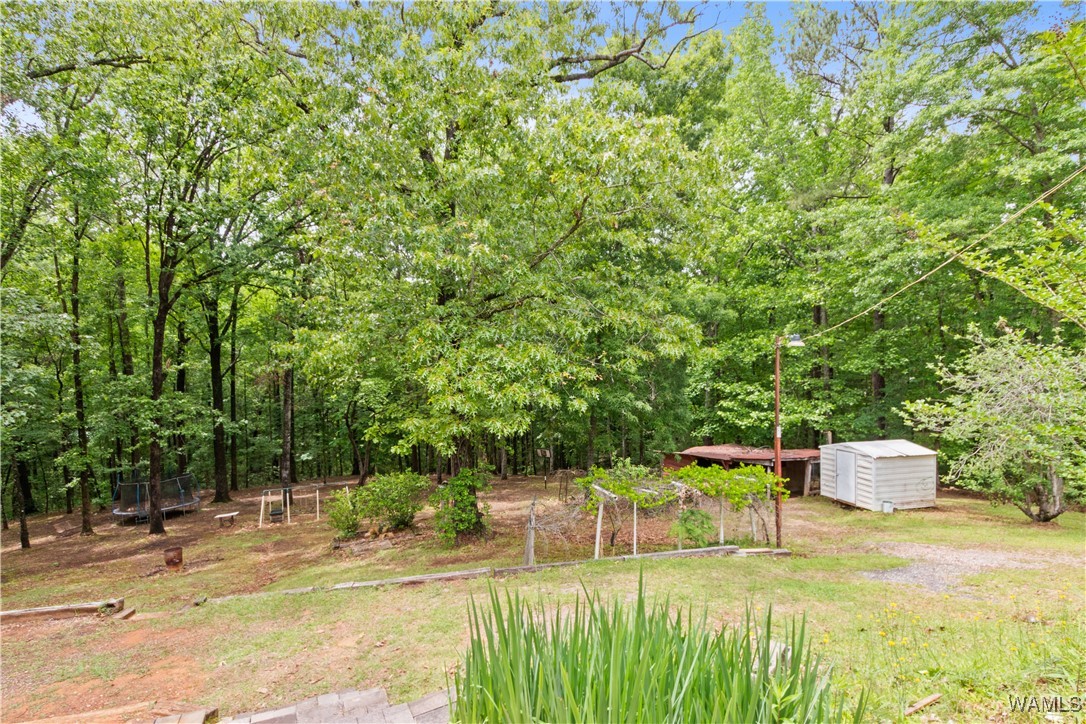 10463 Beulah Lake Lane, Cottondale, Alabama image 34