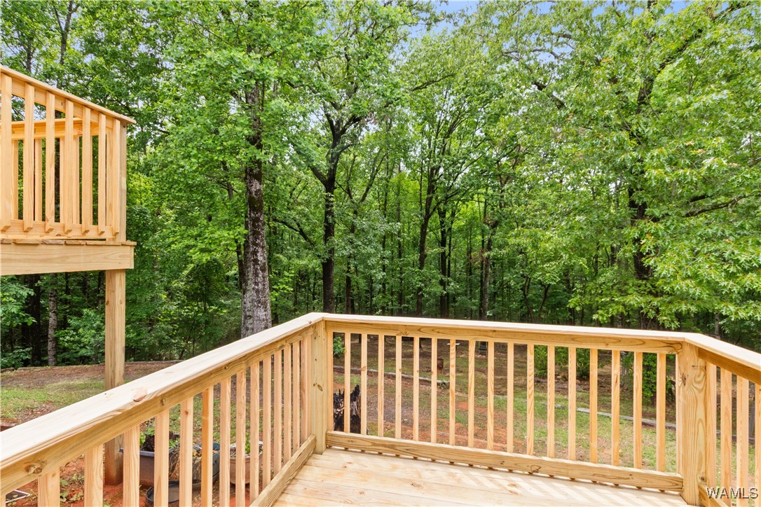 10463 Beulah Lake Lane, Cottondale, Alabama image 33