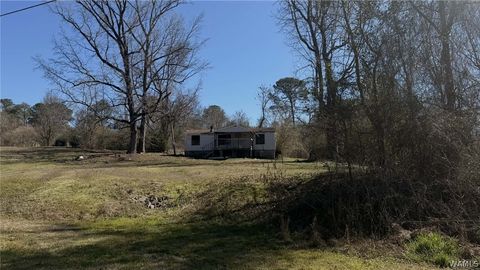 Vacant Land For Sale - 818 Franconia Rd. Ne Rd<br/> Aliceville, AL 35442