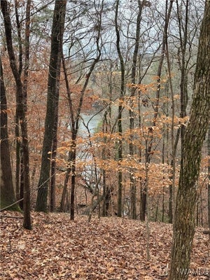 6638 WATERFRONT DR, TUSCALOOSA, AL 35406 - Image e9703c8817e95f5a87fcb2f2ed2a8b94/4037707325