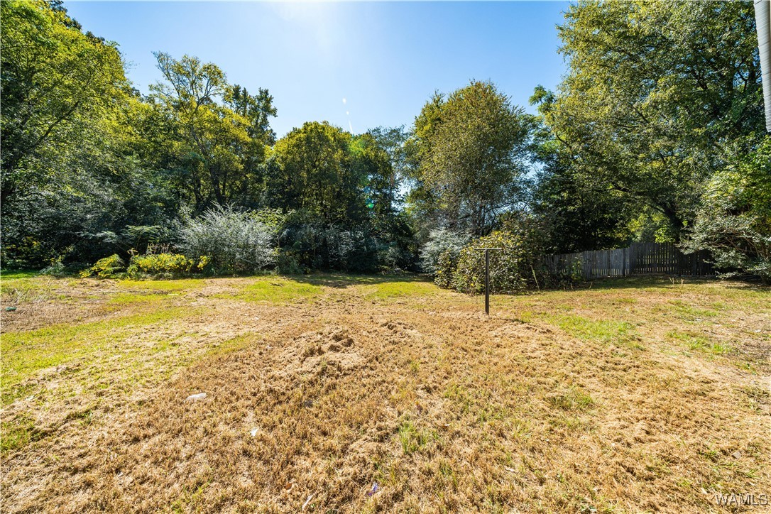 3309 Alabama Avenue, Tuscaloosa, Alabama image 4