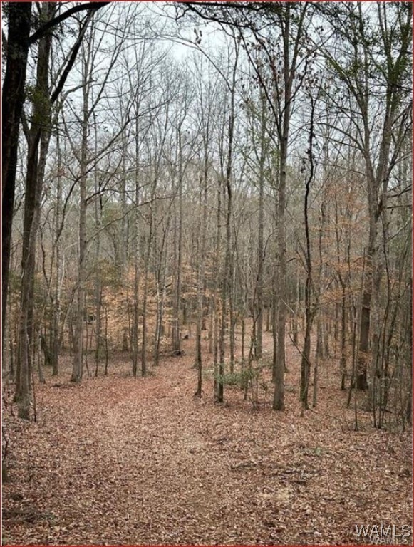 16284 Beams Road, North Port, Alabama image 2