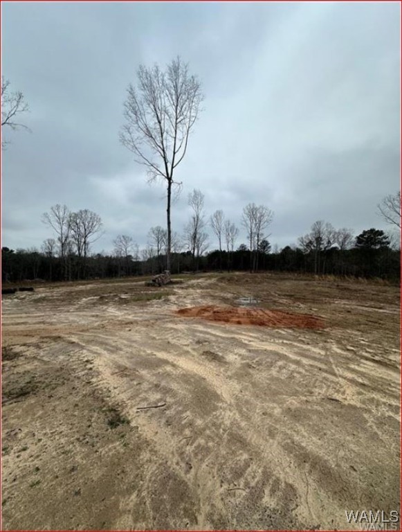 16284 Beams Road, North Port, Alabama image 3