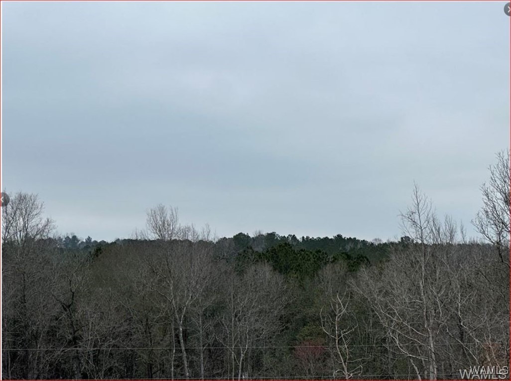 16284 Beams Road, North Port, Alabama image 5