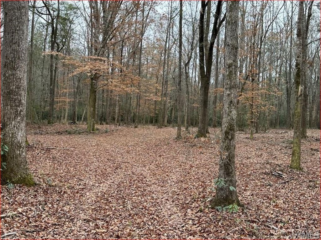 16284 Beams Road, North Port, Alabama image 1