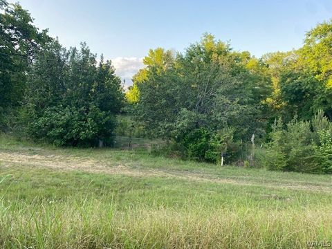 Vacant Land For Sale - 51 Co. Rd 76<br/> Fayette, AL 35555