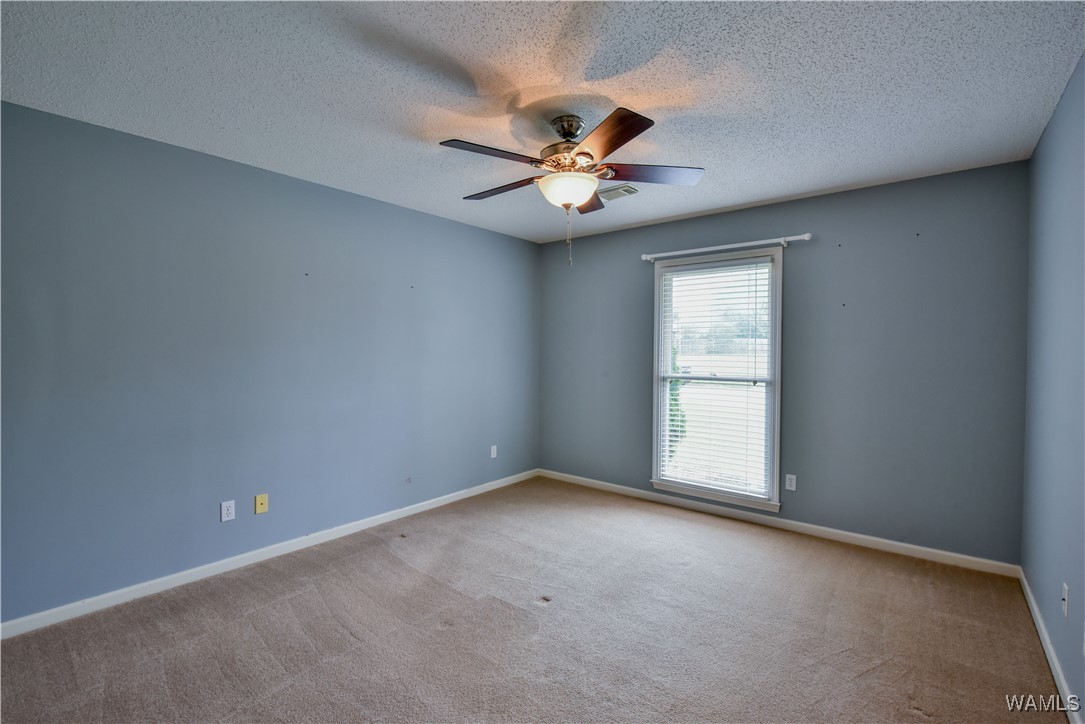 3001 Dewberry Lane, Tuscaloosa, Alabama image 25