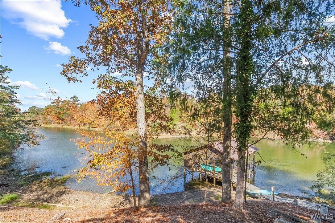 16033 Carmel Bay Drive, North Port, Alabama image 41