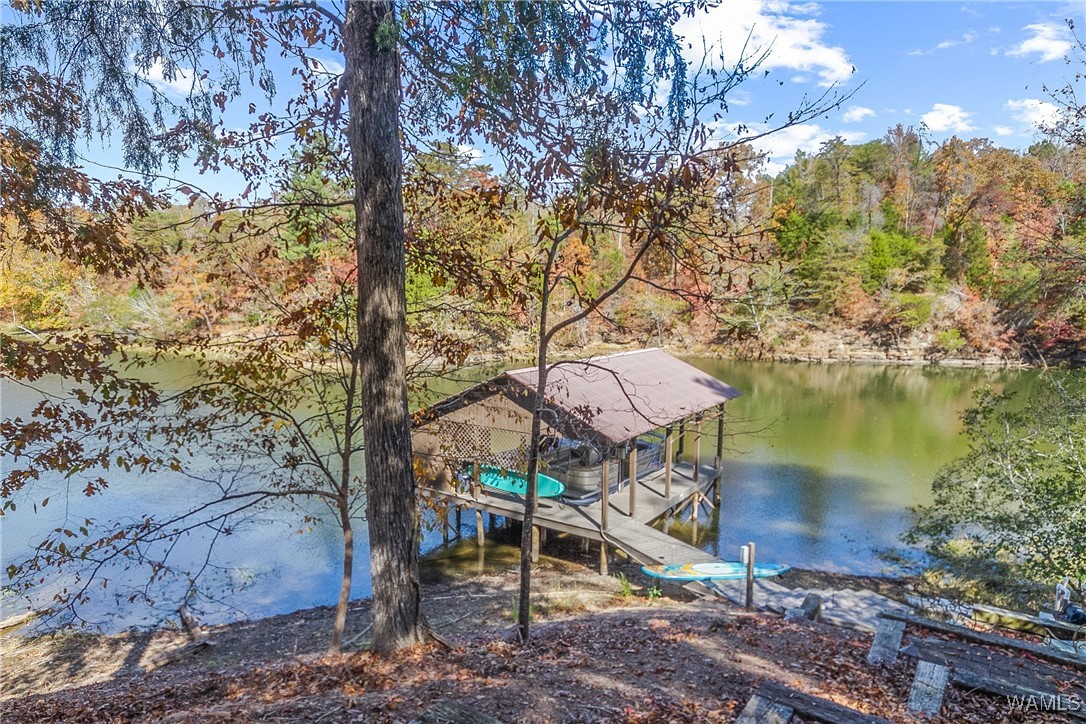 16033 Carmel Bay Drive, North Port, Alabama image 42