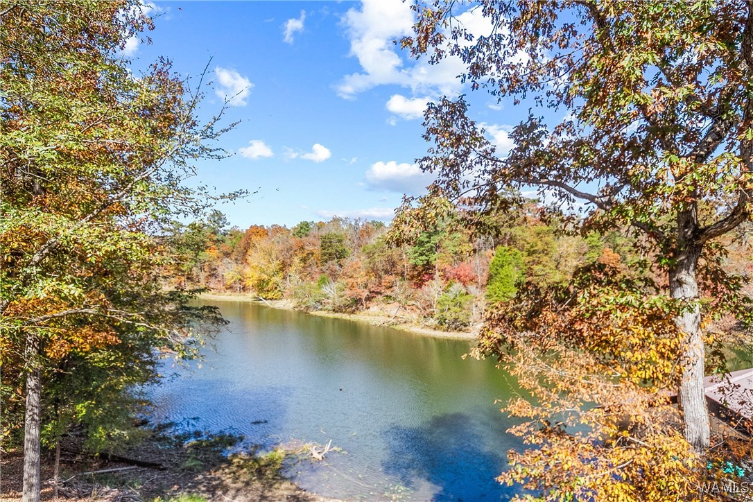 16033 Carmel Bay Drive, North Port, Alabama image 44