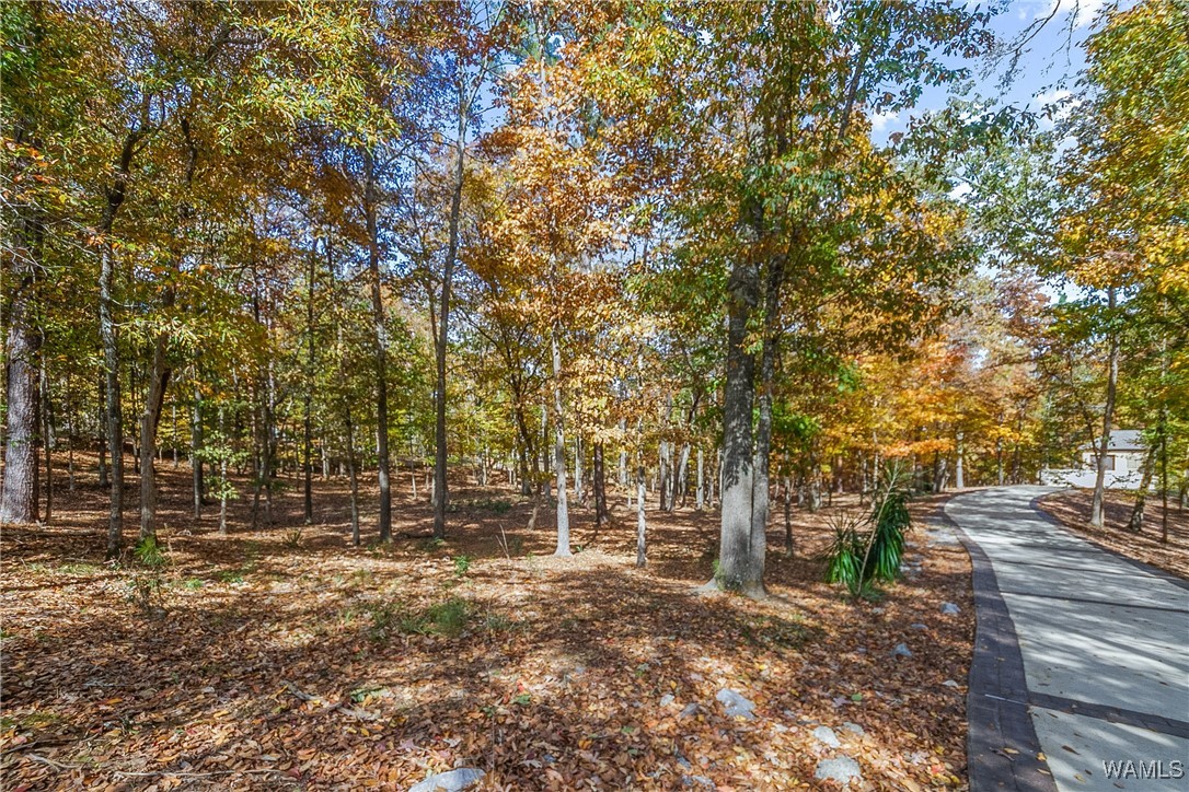 16033 Carmel Bay Drive, North Port, Alabama image 48