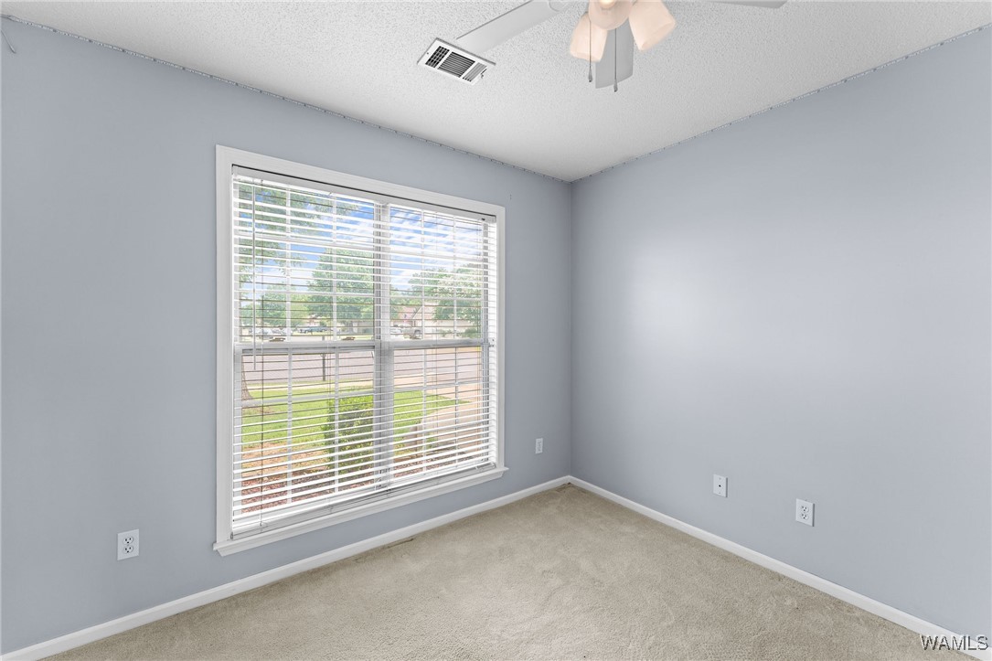 10230 Chandlers Crossing Xing, Tuscaloosa, Alabama image 15