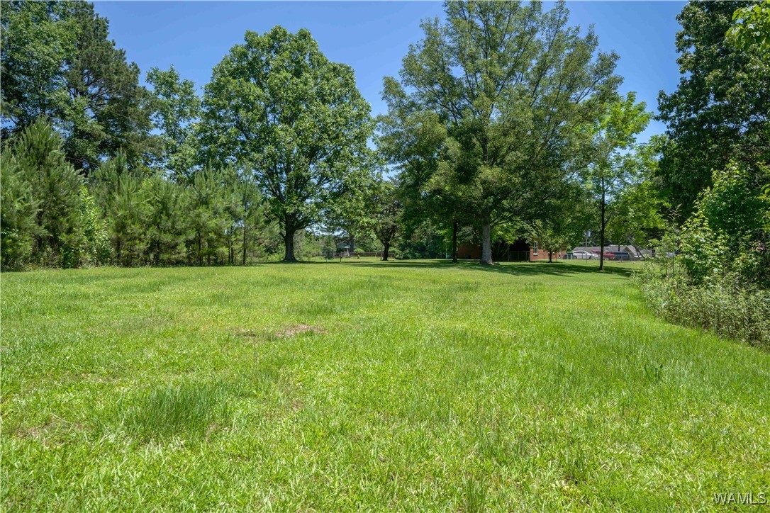 12597 Drift Bay Cove, Elrod, Alabama image 28