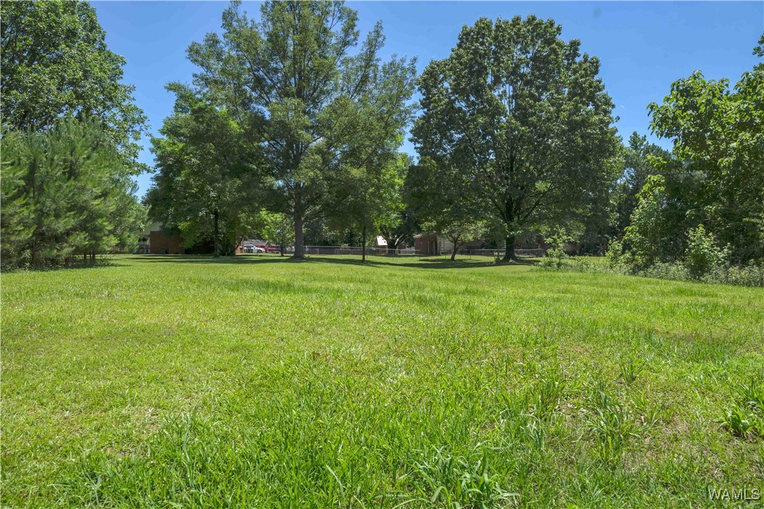 12597 Drift Bay Cove, Elrod, Alabama image 29