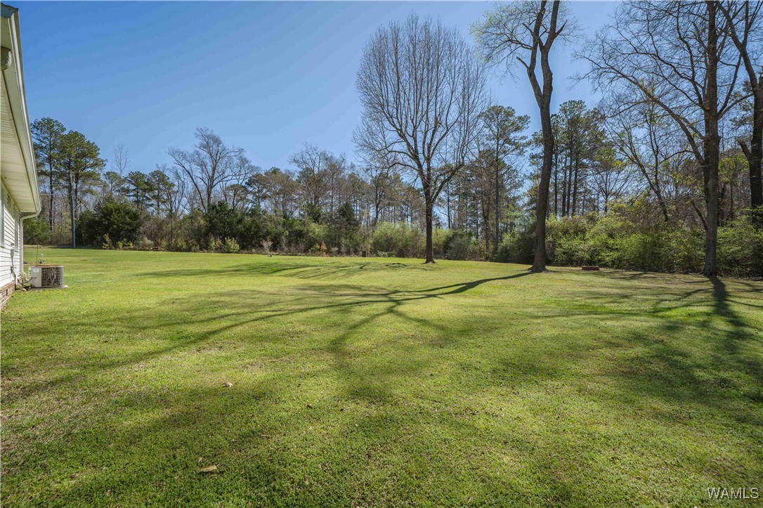 10866 Split Trail Lane, Tuscaloosa, Alabama image 39