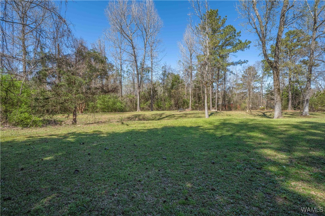 10866 Split Trail Lane, Tuscaloosa, Alabama image 42