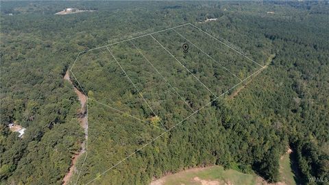 Vacant Land For Sale - 2 Dunn Creek Road<br/> Gordo, AL 35466