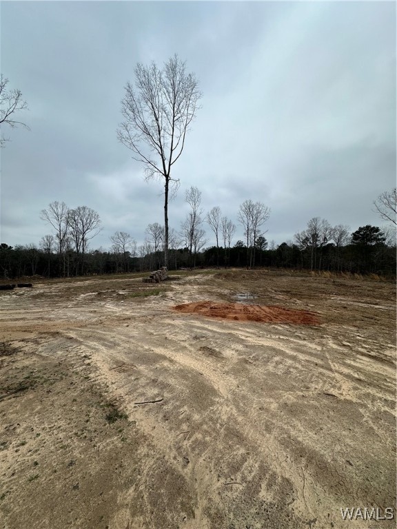 16286 Beams Road, North Port, Alabama image 4