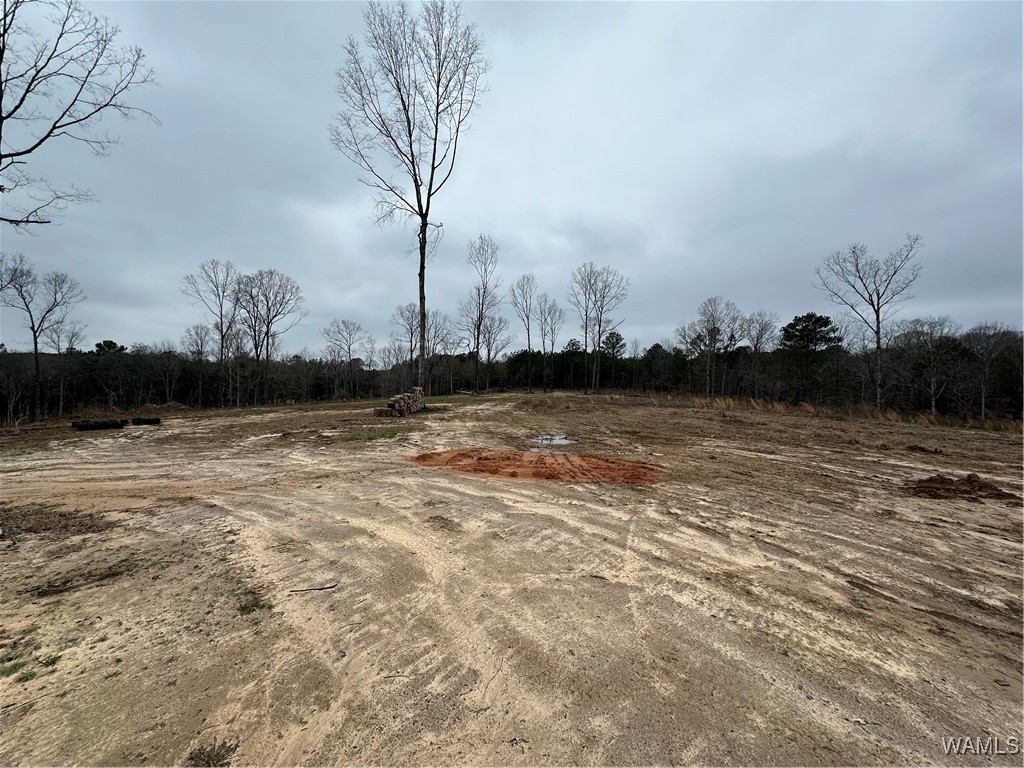 16286 Beams Road, North Port, Alabama image 5
