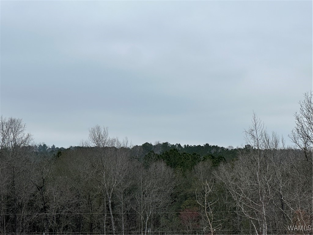 16286 Beams Road, North Port, Alabama image 6