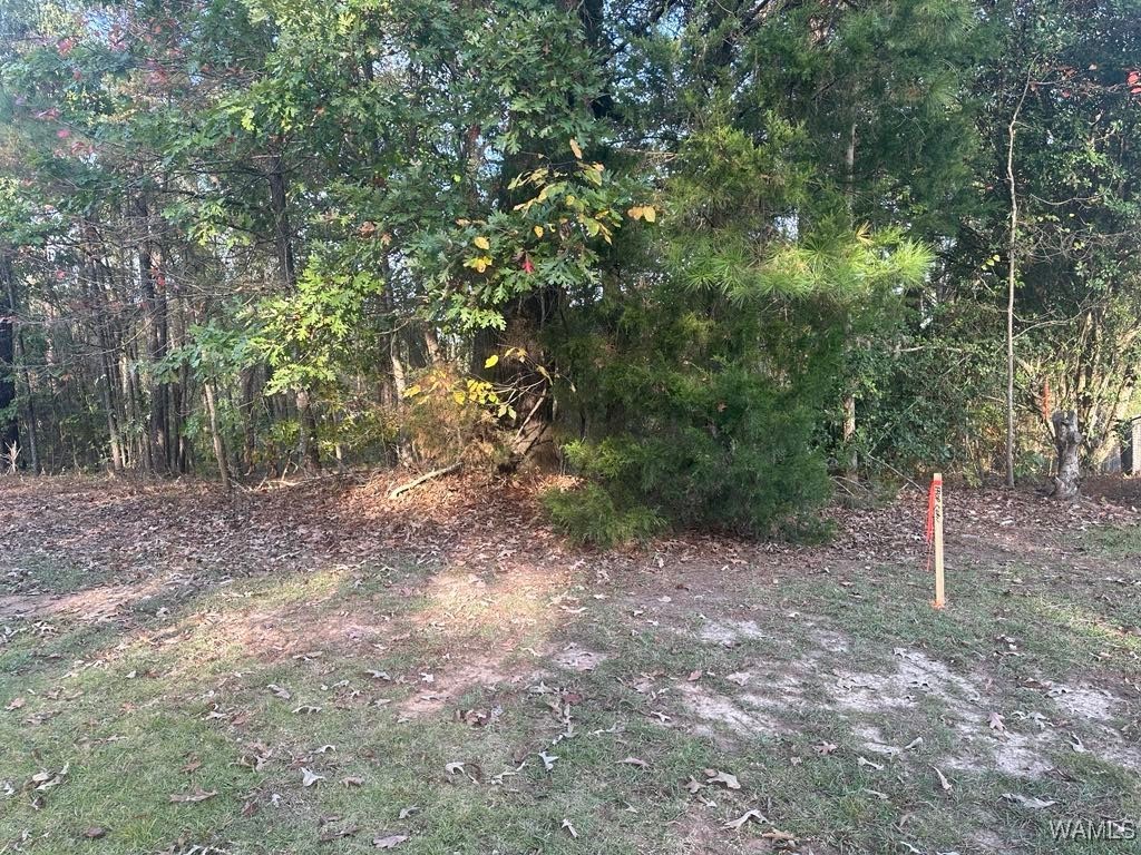 Lot 65 Blue Pine Circle, Brookwood, Alabama image 1