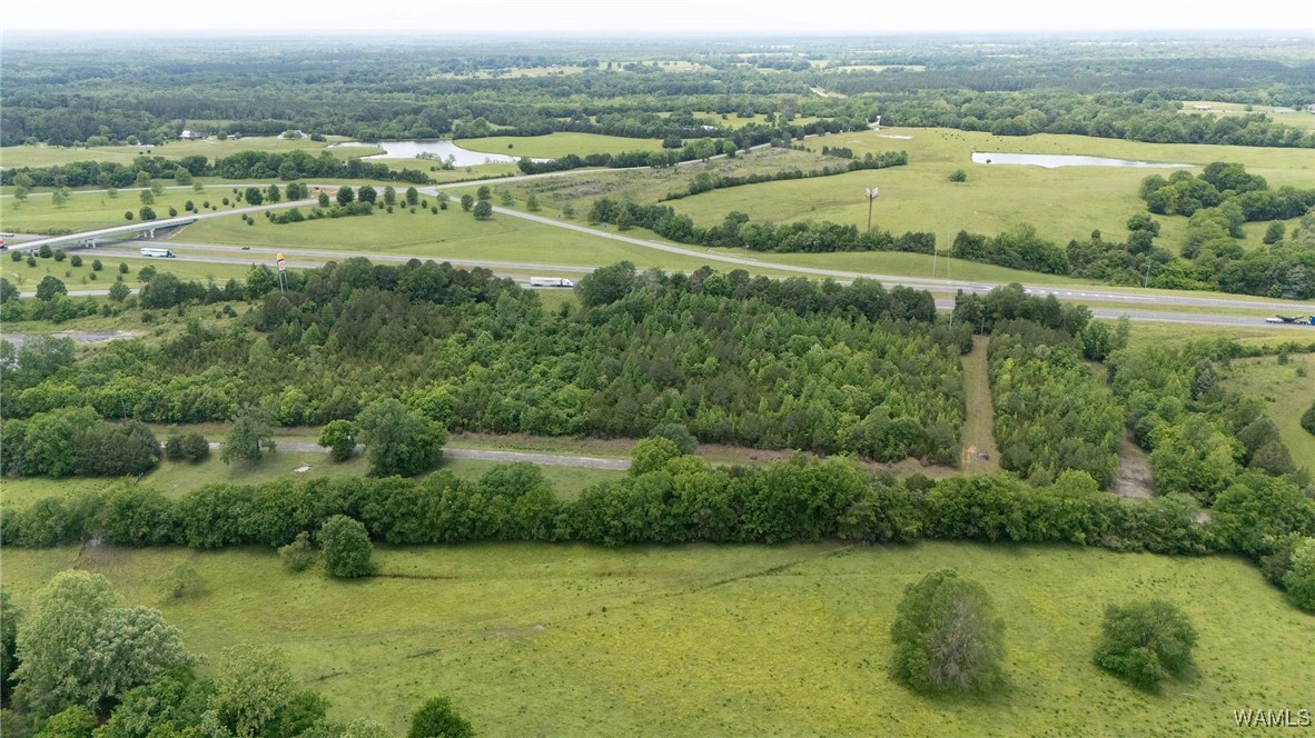 000 Us-28, Livingston, Alabama image 6