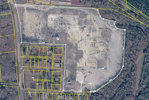 Vacant Land For Sale - 8th Street<br/> Fayette County, Fayette, AL 35555