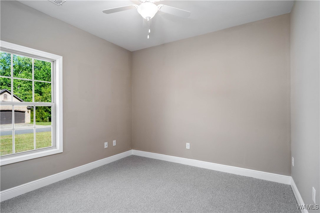 12509 Orchard Trace, Moundville, Alabama image 28