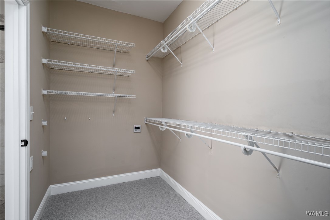 12509 Orchard Trace, Moundville, Alabama image 23