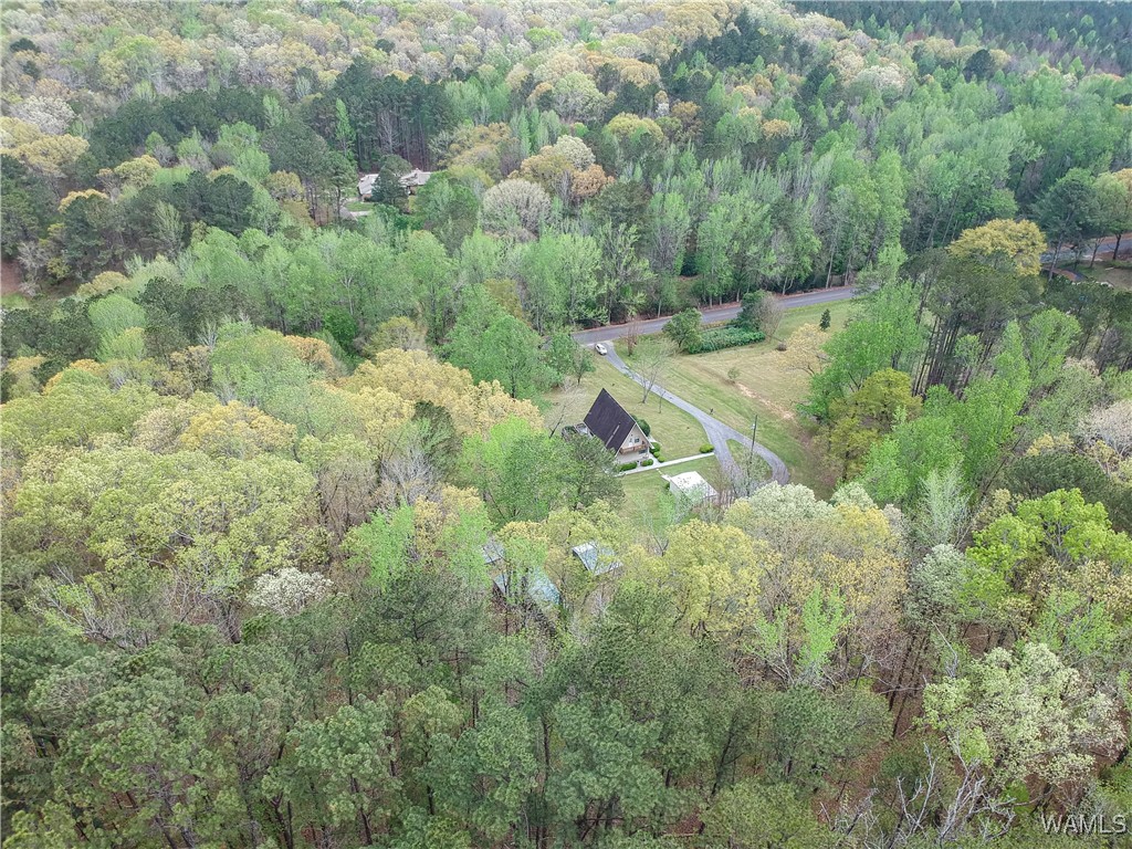 13145 Old Marion Road Rd, Tuscaloosa, Alabama image 26