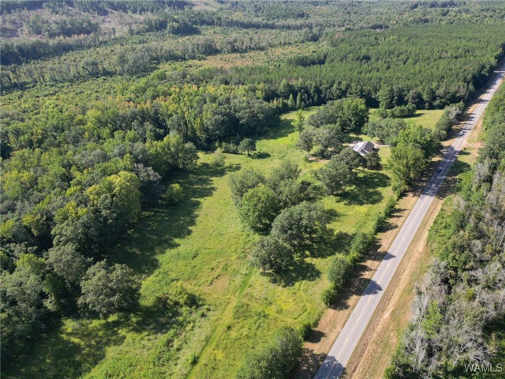 0-23367 Highway 219, Centreville, Alabama image 3