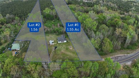 Vacant Land For Sale - Romulus Road<br/> Tuscaloosa County, Ralph, AL 35480