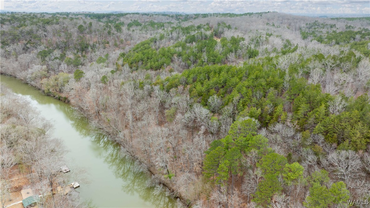 00001 Candy Drive, North Port, Alabama image 16