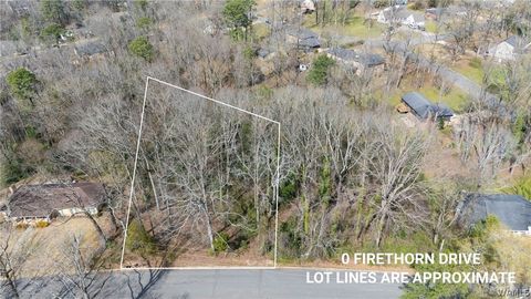 Vacant Land For Sale - 00- Woodland Road<br/> Tuscaloosa County, Tuscaloosa, AL 35405