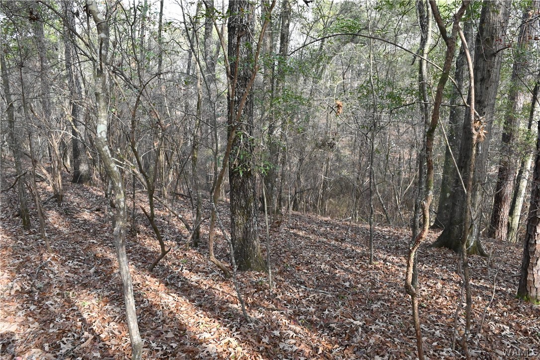 Watercrest Drive #8, North Port, Alabama image 7