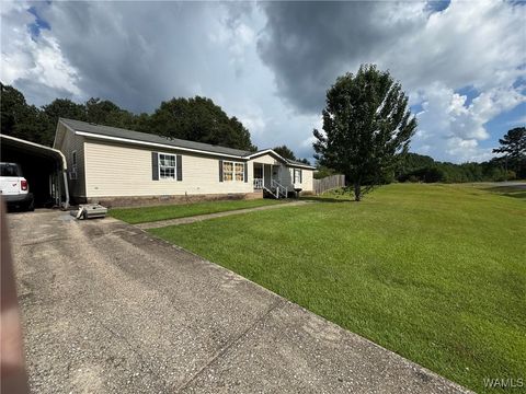 Apartment For Sale - 17026 Finnell Road<br/> North Port, AL 35475