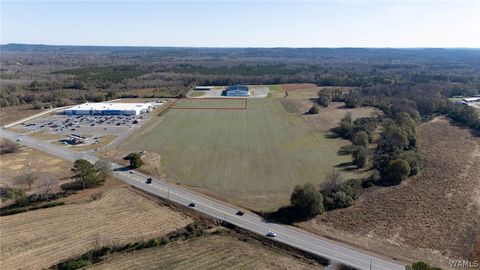 Vacant Land For Sale - LOT 10 3098 Highway 171 N<br/> Fayette County, Fayette, AL 35555