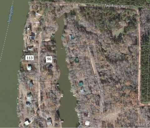 113 Two Rivers Road N West Greene AL 35462