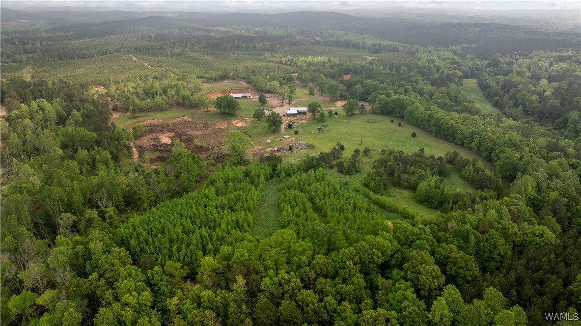 2194 Lum Fife Road, Gordo, Alabama image 23