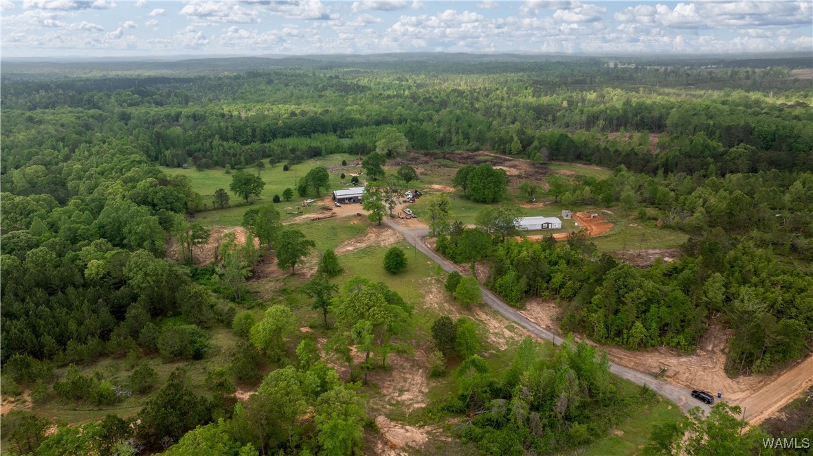 2194 Lum Fife Road, Gordo, Alabama image 29