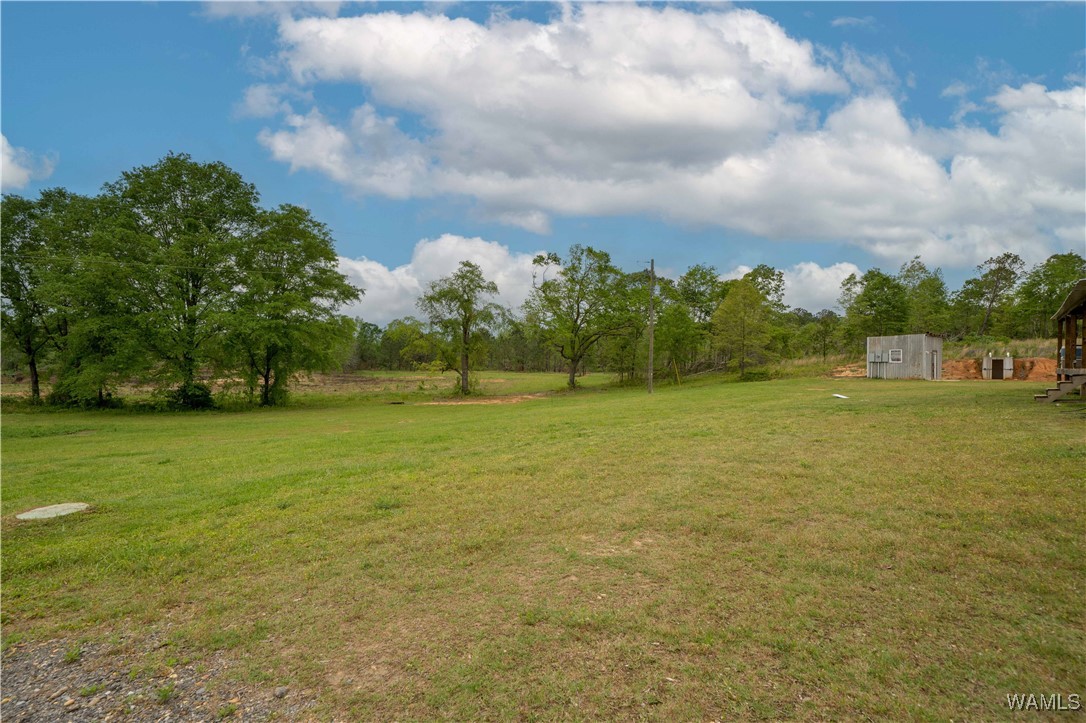 2194 Lum Fife Road, Gordo, Alabama image 2