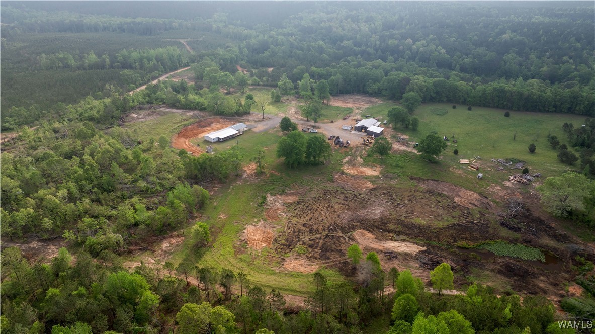 2194 Lum Fife Road, Gordo, Alabama image 22