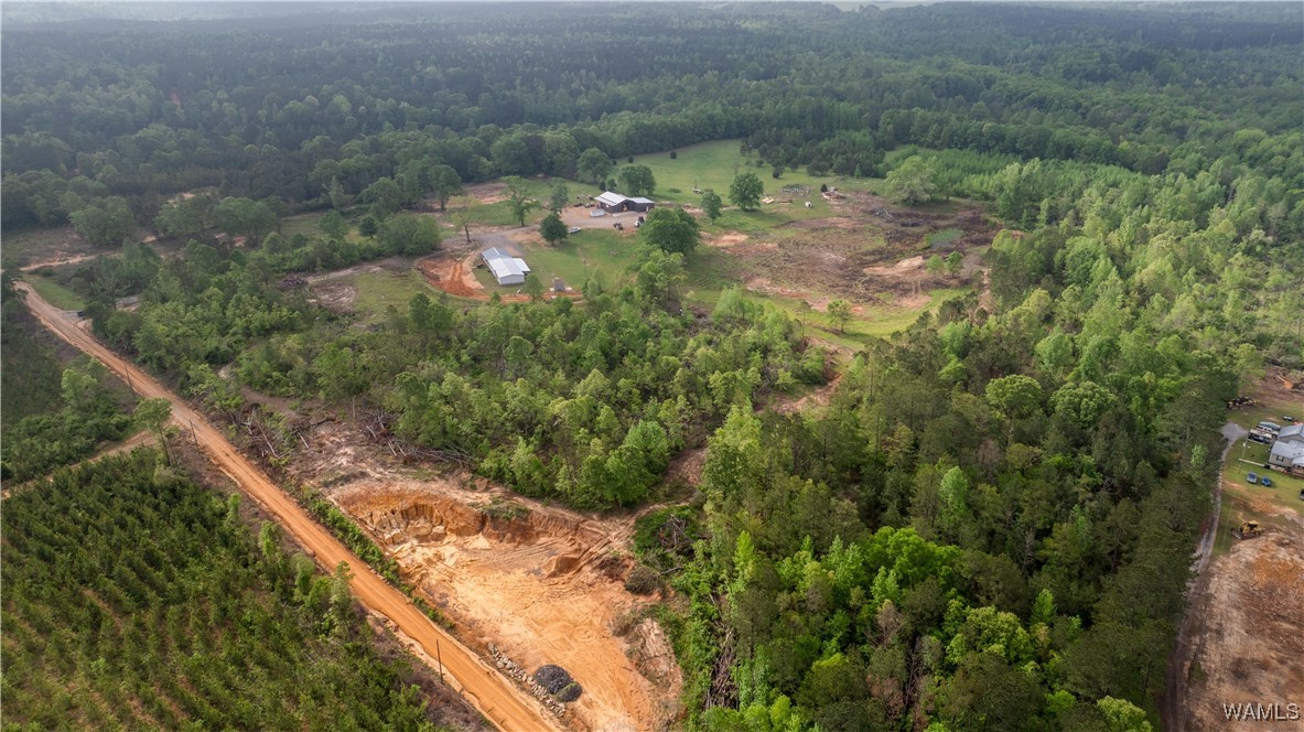 2194 Lum Fife Road, Gordo, Alabama image 21